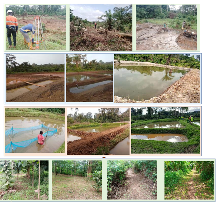 Réhabilitation de sites miniers et valorisation des territoires dégradés